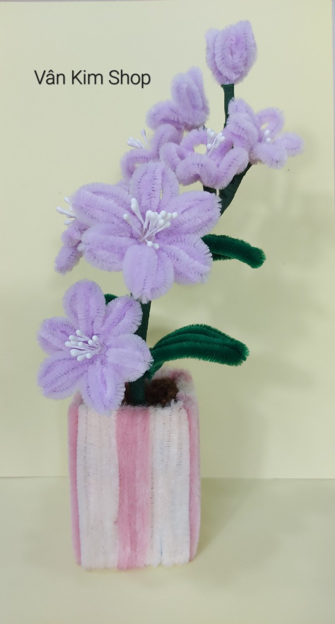 Chậu hoa kẽm nhung handmade by Vân Kim